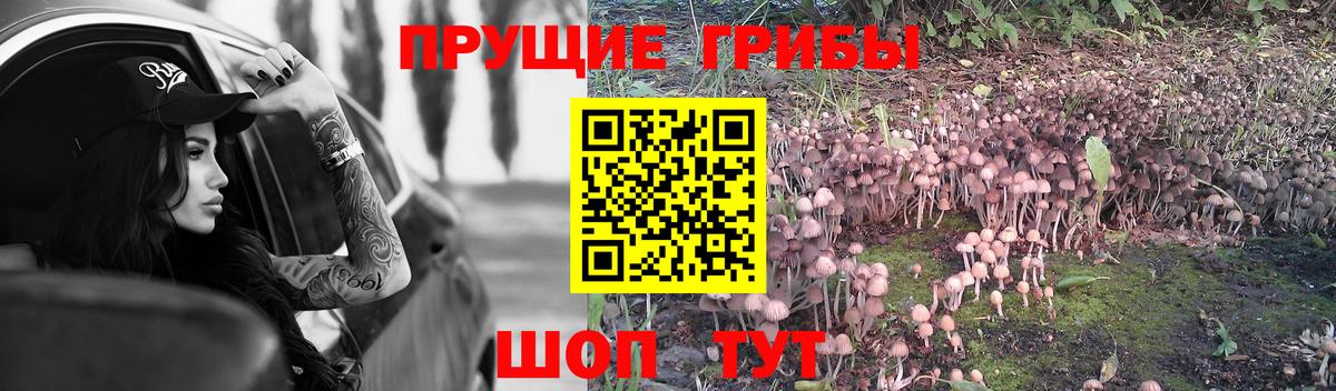 Псилоцибиновые грибы MAGIC MUSHROOMS Когалым